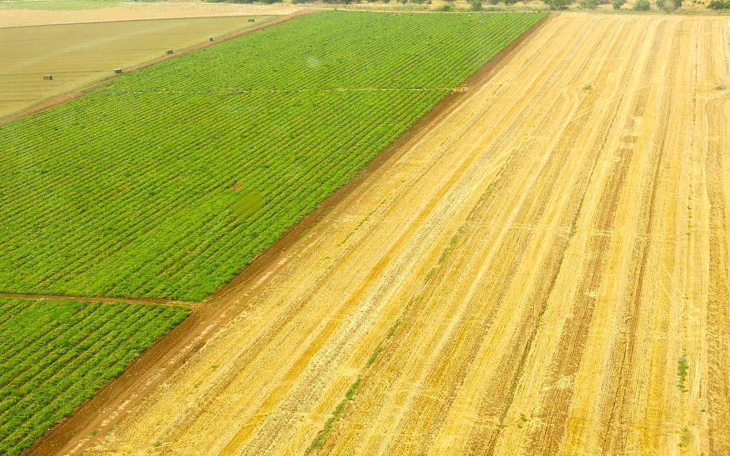 Rolling land, feeds, nurtures, inspires, survives... (photo: Qanta Ahmed)