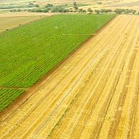 Rolling land, feeds, nurtures, inspires, survives... (photo: Qanta Ahmed)