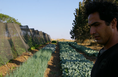 Boaz Havivian in his fields (Courtesy Havivian)