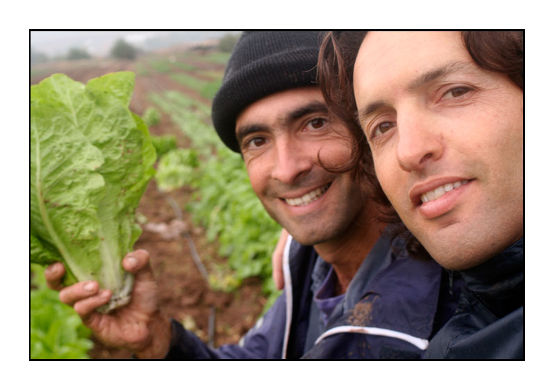 Amir Dayan (left) and Gal Yanovsky of Savta Yehudit, in the Jezreel Valley (Courtesy Savta Yehudit)