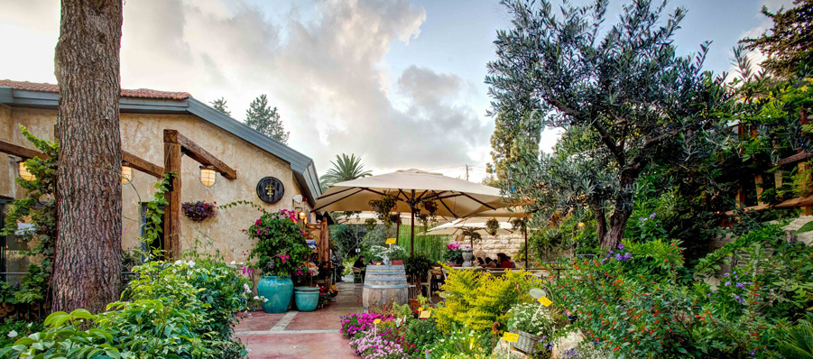 The floral bounty of Derech Hagefen in Beit Zayit (Courtesy Derech Hagefen)