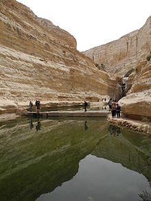 The pool at the Ein Ovdat nature reserve (photo credit: Danny Lyulyev/Wiki Commons CCA-SA 3.0)