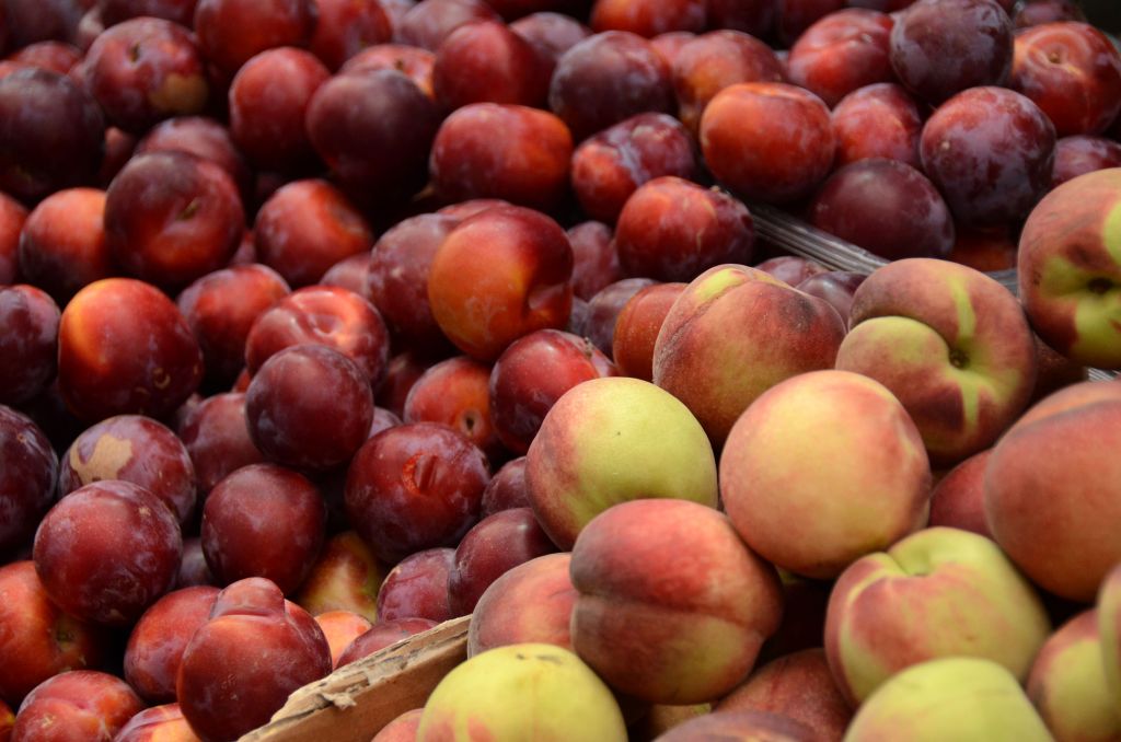 Plums, peaches or nectarines are great when grilled, especially when added to a salad or salsa (photo credit: Danna Hymanson/Flash 90)