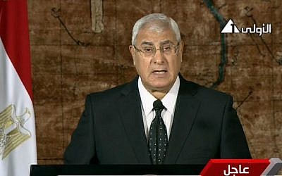 Egypt's interim President Adly Mansour makes his first address to the nation since taking his post after the ouster of Islamist President Mohammed Morsi, in Cairo, Egypt, Thursday, July 18, 2013. (photo credit: AP/Egyptian State Television)