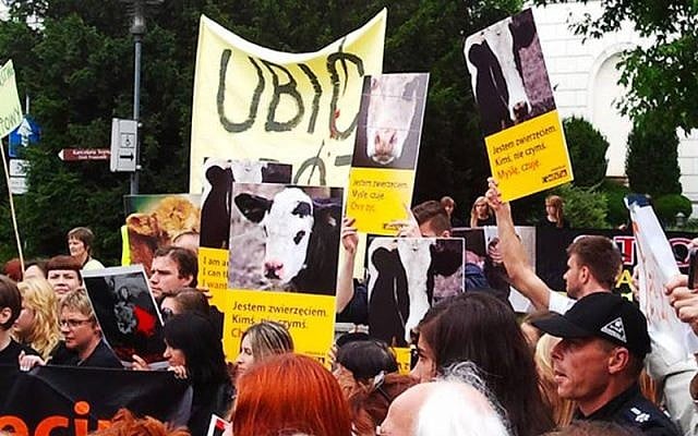 Polish animal rights demonstrators hold a rally in Warsaw opposing ritual slaughter, or shechitah, July 11, 2013. (photo credit: Empatia PL Facebook/JTA)