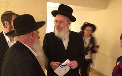 MK Yisrael Eichler about to cast his vote (photo credit: Raphael Ahren)