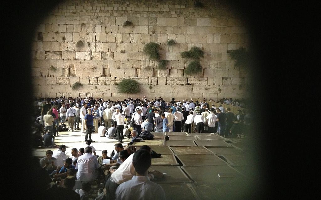 A glimpse of the men's section through the fence (photo credit: Nicole Levin/TImes of Israel)