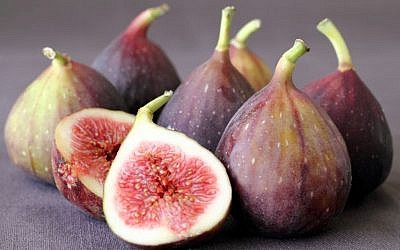 The delicate sweetness of figs, in season now (photo credit: Andrea Brownstein/Photoli Photography)