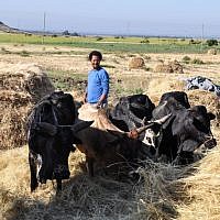 Abebe, who is critical of the government for bringing Falash Mura to Israel, stressed that his fight wasn't with those who are already in the country and part of the Ethiopian-Israeli community (photo credit: Michal Shmulovich/ToI)