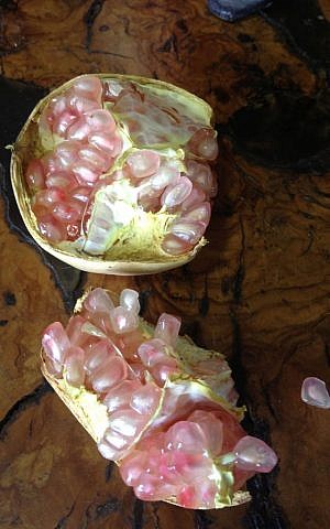 The pale pink interior of a Melissi pomegranate (photo credit: Jessica Steinberg/Times of Israel) The pale pink interior of a Melissi pomegranate (photo credit: Jessica Steinberg/Times of Israel)