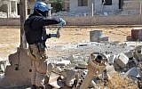 A member of a UN chemical weapons investigation team takes samples from sand near Damascus, Syria, August 28, 2013. (AP/United Media Office of Arbeen)