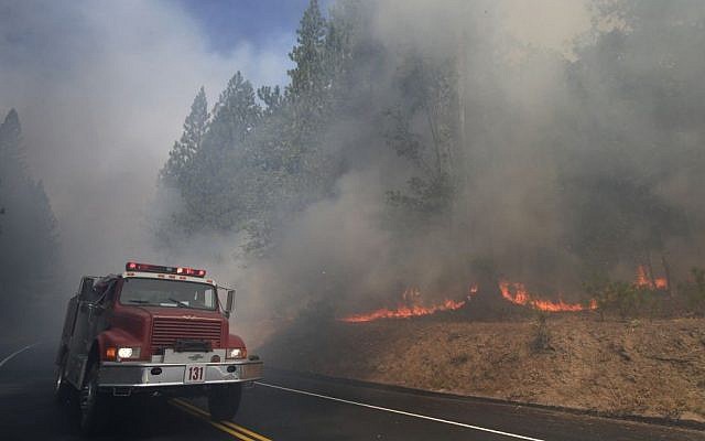 A fire truck drives past burning trees as firefighters continue to battle the Rim Fire near Yosemite National Park, California, on Monday (photo credit: AP/Jae C. Hong)