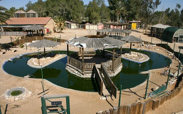 Modern attractions at Kibbutz Revivim (photo credit: Shmuel Bar-Am)