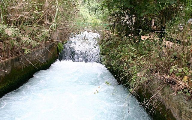 The waters in full flow at Tel Dan (photo credit: Shmuel Baram)
