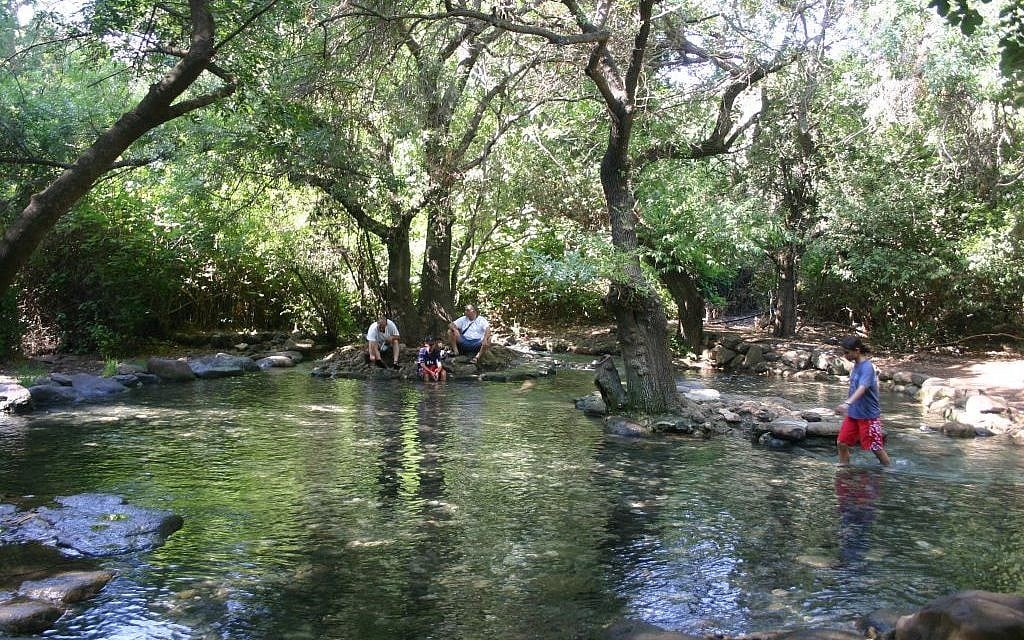 The wading pool at Tel Dan wading pool (photo credit: Shmuel Baram)