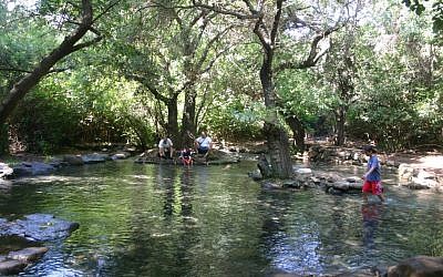 The wading pool at Tel Dan wading pool (photo credit: Shmuel Baram)