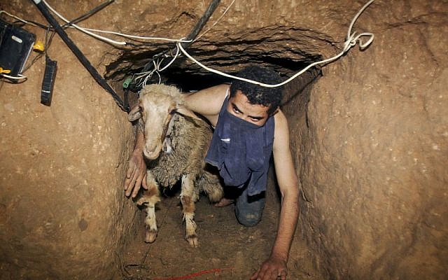 A Palestinian smuggler moves a goat through a tunnel from Egypt to the Gaza Strip under the border in Rafah, southern Gaza Strip in 2008. (photo credit: AP/Khalil Hamra) 