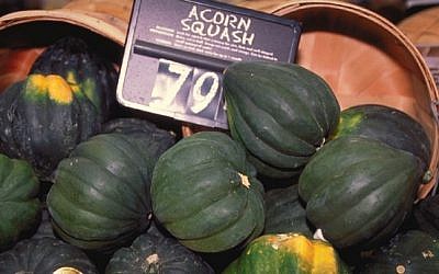 Acorn squash (photo credit: Wikipedia Commons)