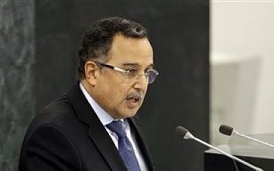 Egyptian Foreign Minister Nabil Fahmy speaks during the 68th session of the General Assembly at United Nations headquarters, Saturday, Sept. 28, 2013 (photo credit: AP Photo/Seth Wenig)