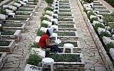 A  woman sits next to the grave of a fallen soldier from the 1973 Yom Kippur War, in the Mount Herzl military cemetery in Jerusalem (Michal Fattal/Flash90)
