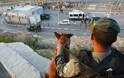 A soldier with a dog at a checkpoint outside Jerusalem. (Illustrative photo: Kobi Gideon/Flash90)