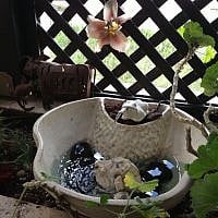 Shimon Matthews, a practitioner of Chinese medicine, loves the soothing sounds of water, and installed this fountain on the sukkah porch (photo credit: Jessica Steinberg/Times of Israel)