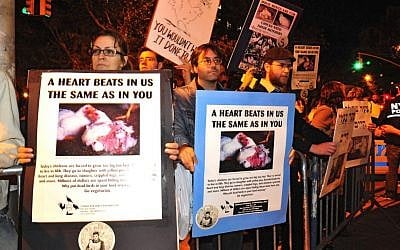 Protestors in Brooklyn demonstrate against the use of live chickens in the kapparot ritual. (photo credit: Linda Obuchoska/JTA)