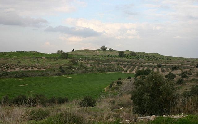 Tel Gezer (photo credit: Shmuel Bar-Am)