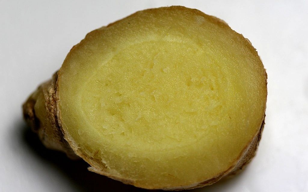 Cross section of ginger (photo credit: Sanjay ach CC-BY-SA-3.0) Cross section of ginger (photo credit: Sanjay ach CC-BY-SA-3.0)
