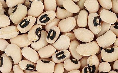Black-eyed peas, the interior of the lubia long green bean (By Toby Hudson (Own work) [CC-BY-SA-3.0 (http://creativecommons.org/licenses/by-sa/3.0)], via Wikimedia Commons)