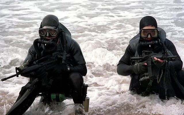 US Navy SEALs (US Department of Defense) US Navy SEALs (US Department of Defense)