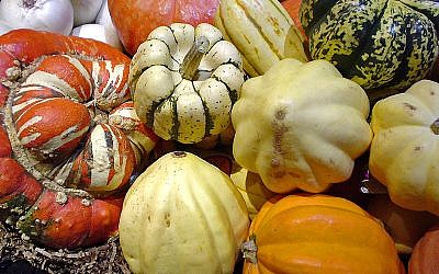Squashes An assortment of squashes (photo credit: Californiacondor (Own work) [GFDL (http://www.gnu.org/copyleft/fdl.html), CC-BY-SA-3.0)