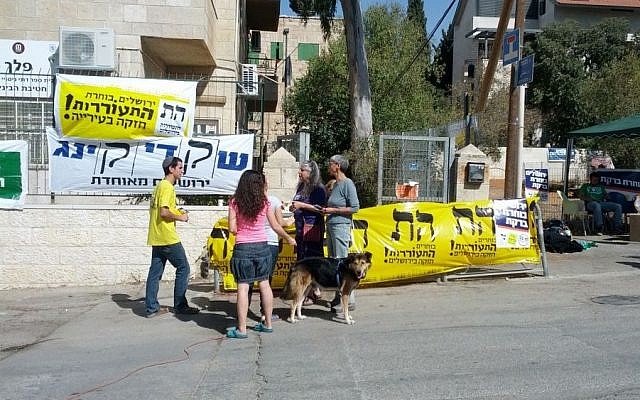 Convincing the undecided (photo credit: Arieh Kovler)