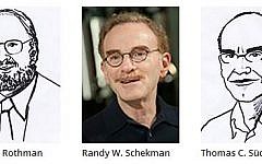 The 2013 Nobel Prize for Medicine winners (photo credit: courtesy http://www.nobelprize.org/)