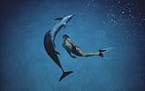 Dolphin Boy, Morad, is healed by the dolphins of Eilat after undergoing a violent attack in his village (photo credit: Amos Nachoum)