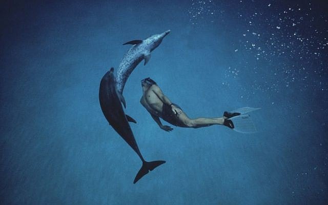 Dolphin Boy, Morad, is healed by the dolphins of Eilat after undergoing a violent attack in his village (photo credit: Amos Nachoum) Dolphin Boy, Morad, is healed by the dolphins of Eilat after undergoing a violent attack in his village (photo credit: Amos Nachoum)