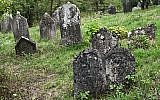 Jewish cemetery in Checiny, Poland (photo credit: Nikodem Nijaki/Wikimedia Commons/File)