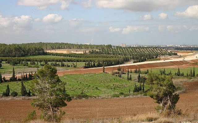 The view from Angels' Forest (photo credit: Shmuel Bar-Am)