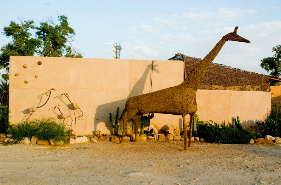 The naturally sculpted giraffe by Andre Hunter, an artist and sculptor from Zukim, part of Arava Creates (Courtesy Arava Creates)