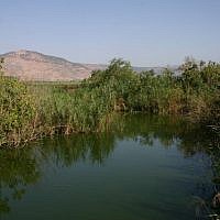 Huleh Nature Reserve (photo credit: Shmuel Bar-Am) Huleh Nature Reserve (photo credit: Shmuel Bar-Am)