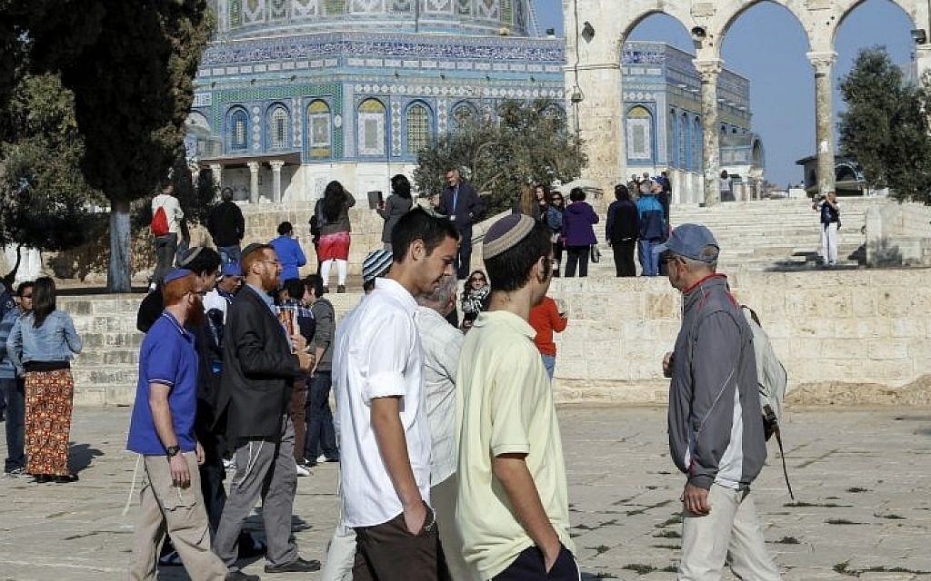 A group of Israeli Jews, accompanied by Yehudah Glick, chairman of the Fund for the Temple Mount and Temple Heritage organizations, seen in the Temple Mount courtyard near Al Aqsa Mosque, November 19 2013. (Photo credit: Sliman Khader/FLASH90)