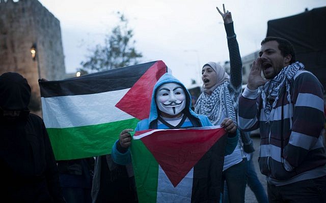 A protester in a Guy Fawkes mask demonstrating against the Prawer plan in Jerusalem on Saturday, November 30, 2013. (photo credit: Yonatan Sindel/Flash90)