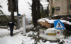 A car damaged by a tree which fell due to a heavy storm in Jerusalem. December 14, 2013. (photo credit: Yonatan Sindel/Flash90)