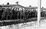 Illustrative: In this undated photo, prisoners at the electric fence of the Dachau concentration camp in Germany cheer on the arriving Americans. (photo credit: AP/File)