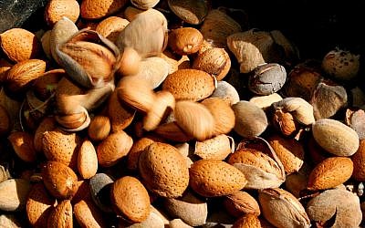 Use almonds to make a vegan cheese, usable for spreading or sandwiches (photo credit: Melanie Fidler/Flash 90)