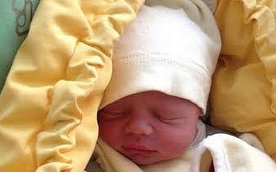 Mitch and Tali Ginsburg's newborn son (photo credit: courtesy)