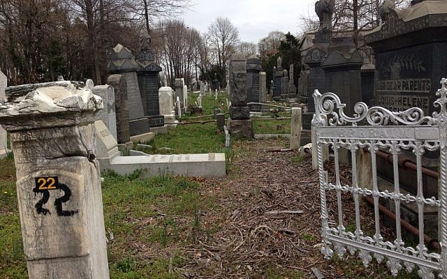 The same section of New York's Bayside Cemetery in Queens after the UJA-Federation-funded cleanup. (photo credit: Courtesy of the Community Association for Jewish At-Risk Cemeteries/JTA)