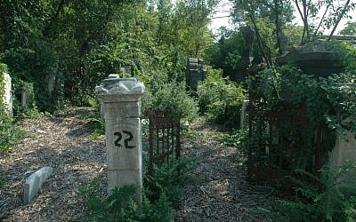A section of New York's Bayside Cemetery in Queens before a UJA-Federation-funded cleanup. (photo credit: Courtesy of the Community Association for Jewish At-Risk Cemeteries/JTA)