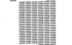A page from a court appeal contains a list of serial numbers, representing African migrants who were arrested in a Jerusalem protest last week