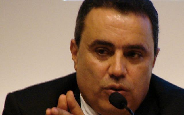Mehdi Jomaa (photo credit: CC BY Copyleft/Wikimedia Commons)